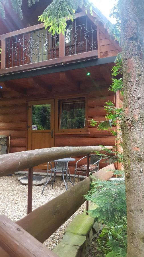 Domki Mroz Zakopane Exterior photo